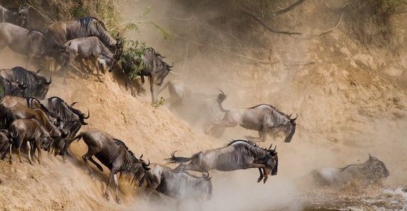 10 Days Special Serengeti Migration